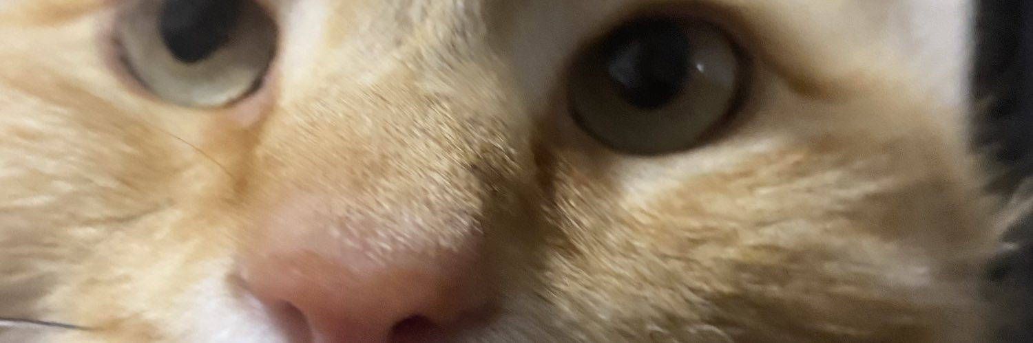 kristicopter's profile banner image