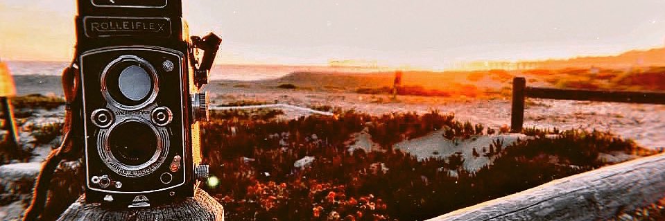 Victoria_Allen's profile banner image
