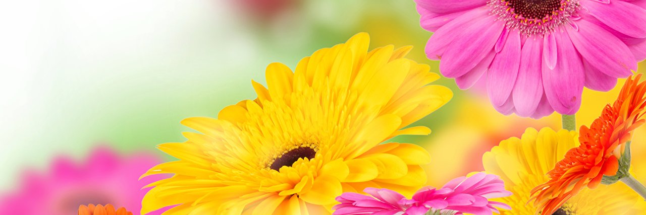 ileserrano's profile banner image