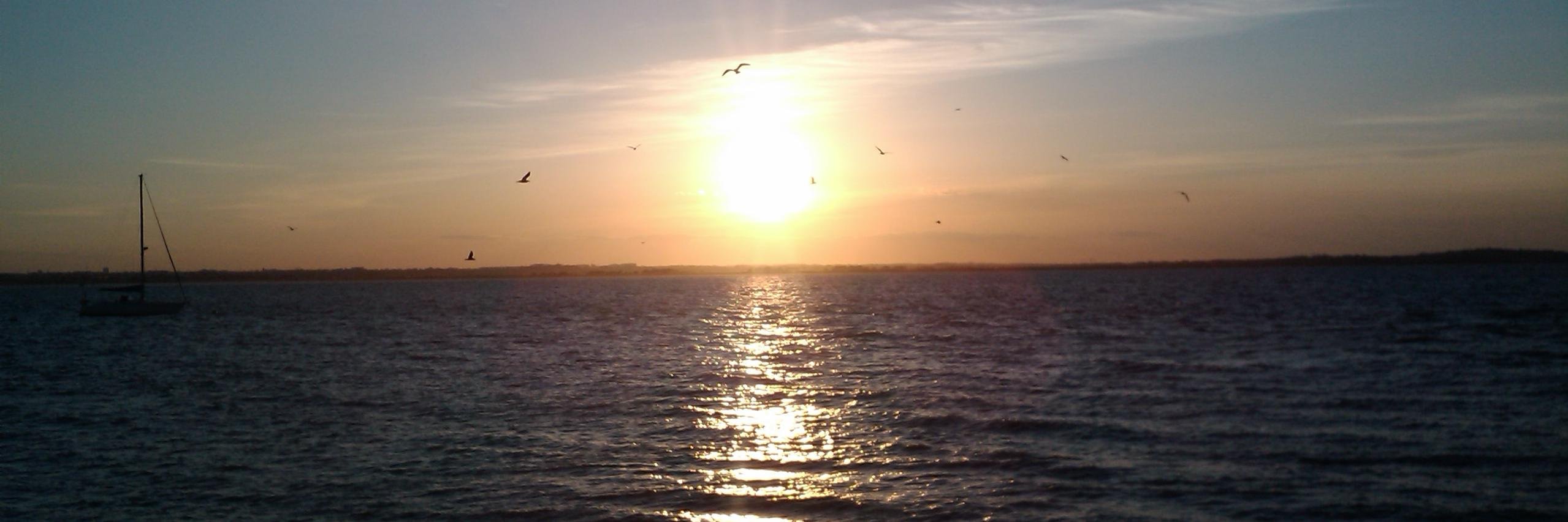 CrudRock's profile banner image