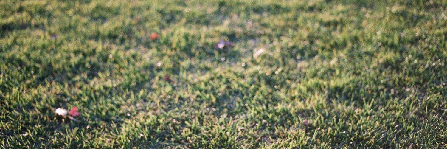tarop's profile banner image