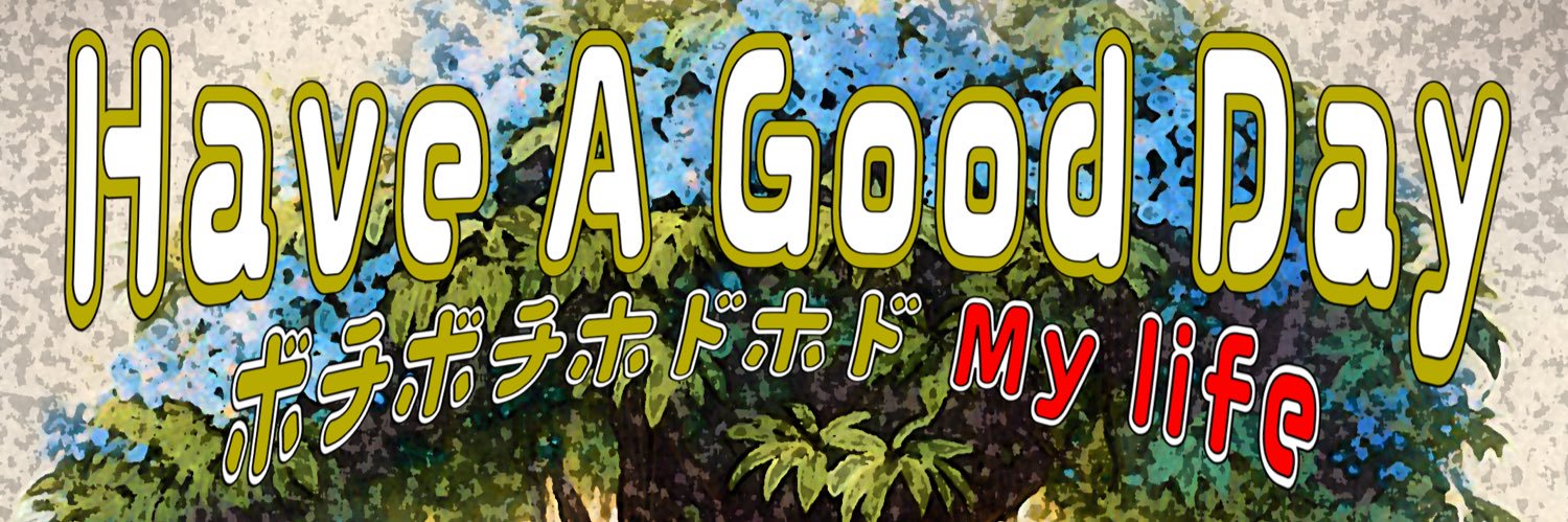 havefunyoshi's profile banner image