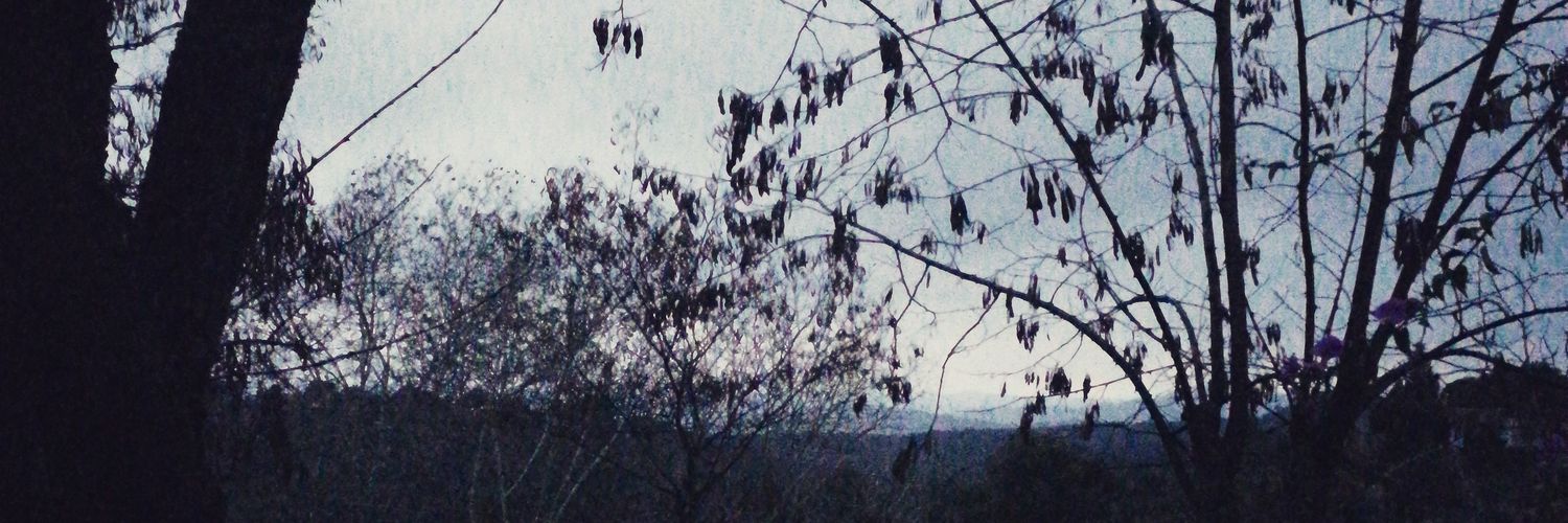 Lo_ri_be's profile banner image