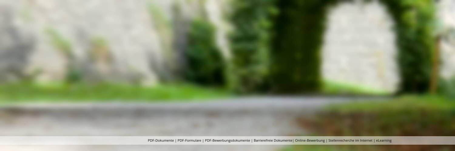 ePaperServices's profile banner image