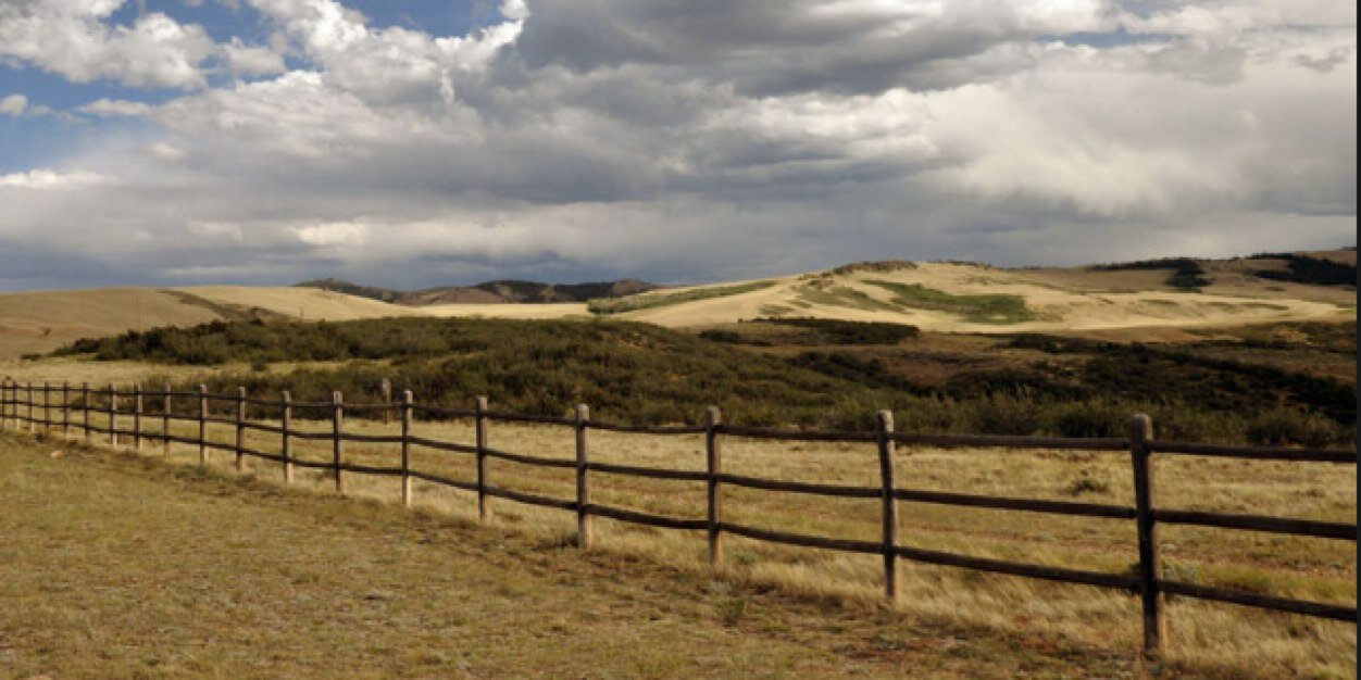 WalterLongmire's profile banner image