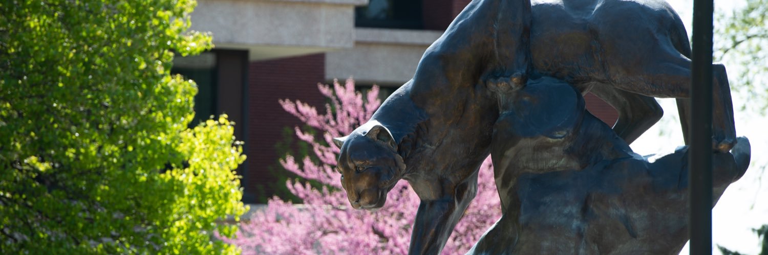 James T. Minor, Ph.D banner