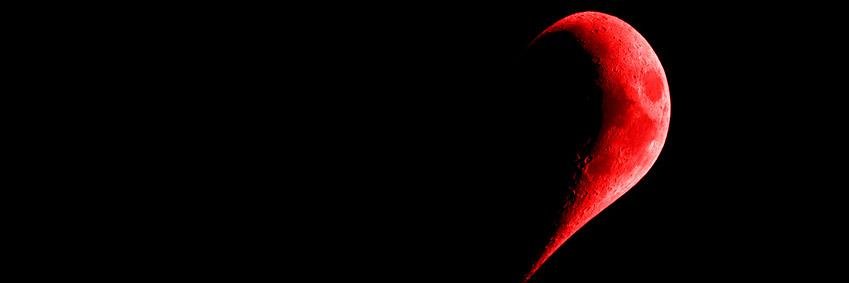 aydin190342's profile banner image