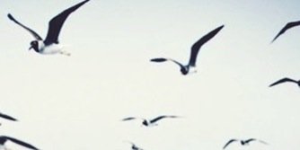 amczingly's profile banner image