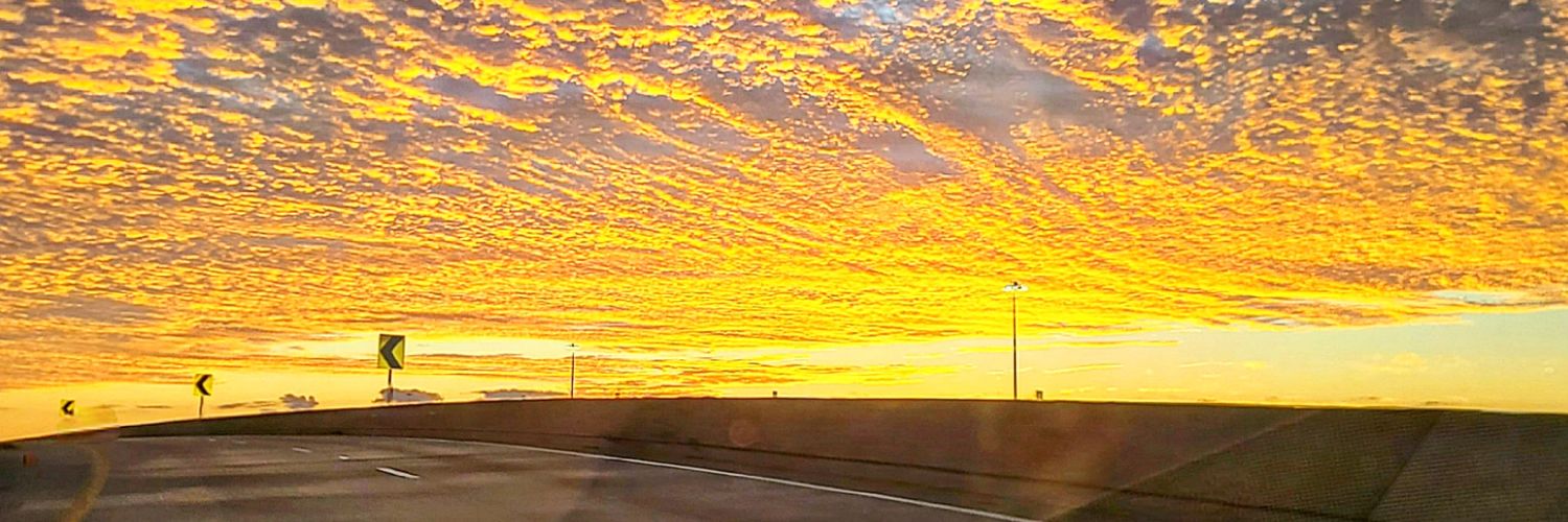 mycryptochart's profile banner image