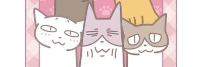 baobabuz's profile banner image
