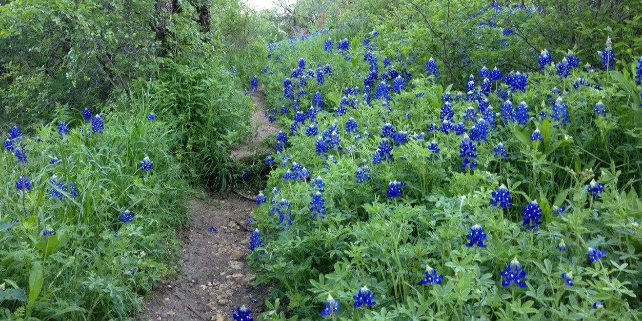 IlaTexas's profile banner image