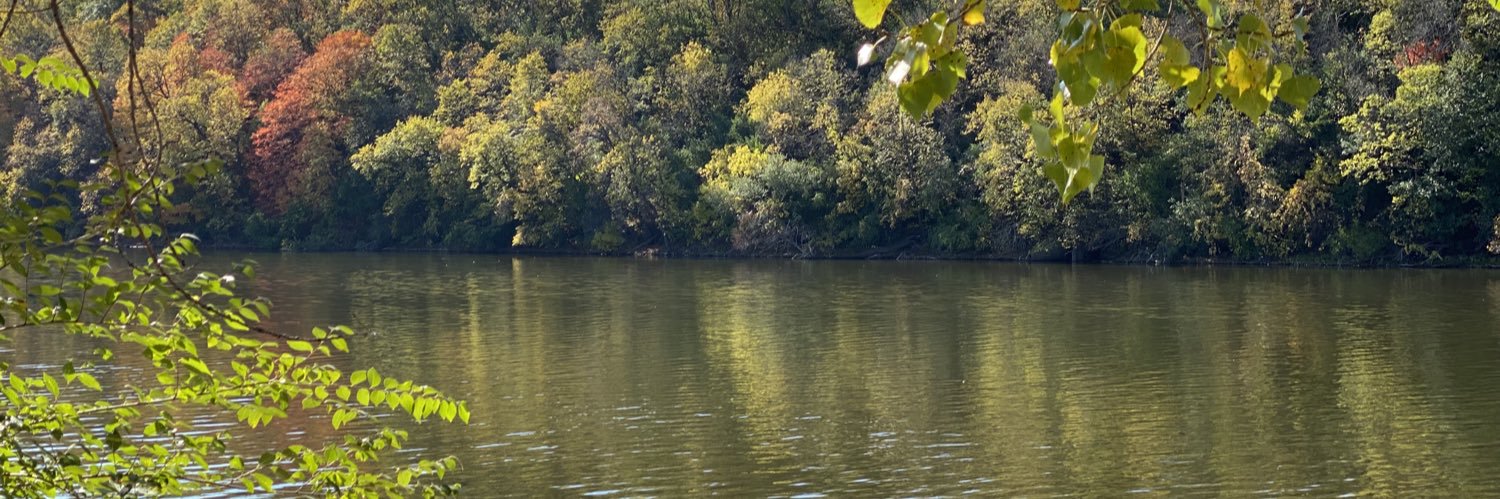 Thompson Aderinkomi banner