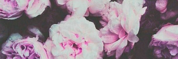 Christiaannaa's profile banner image