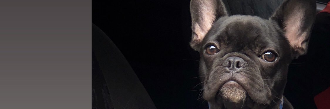thmrod's profile banner image