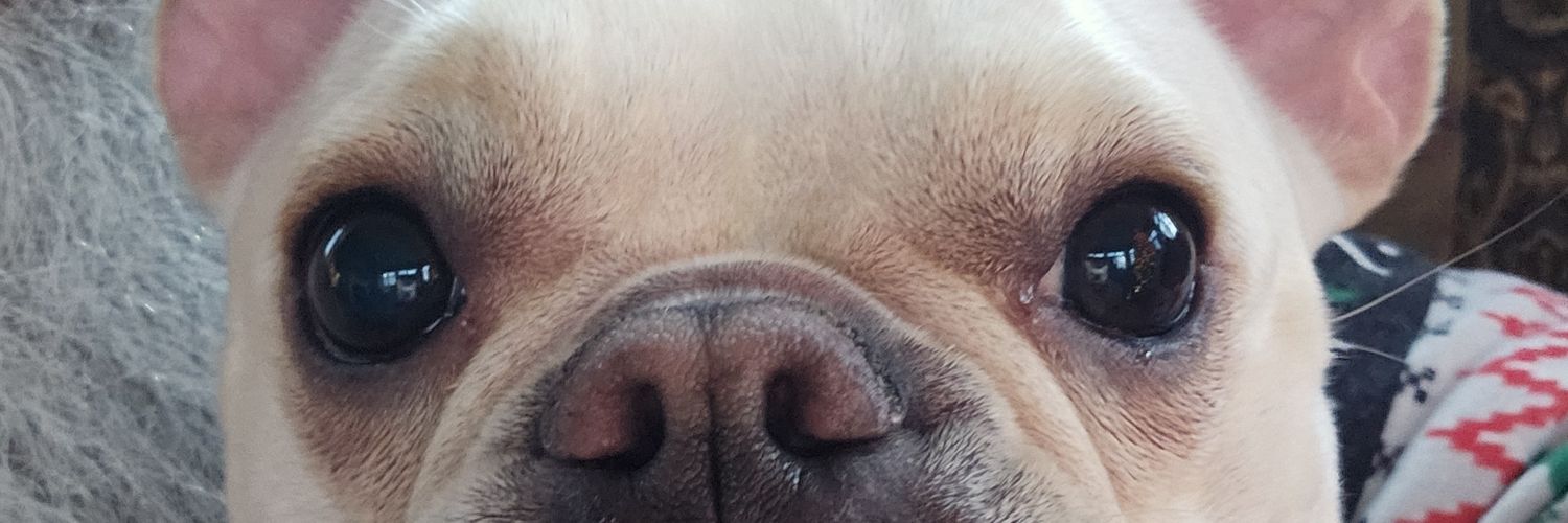 MattFordREALTOR's profile banner image