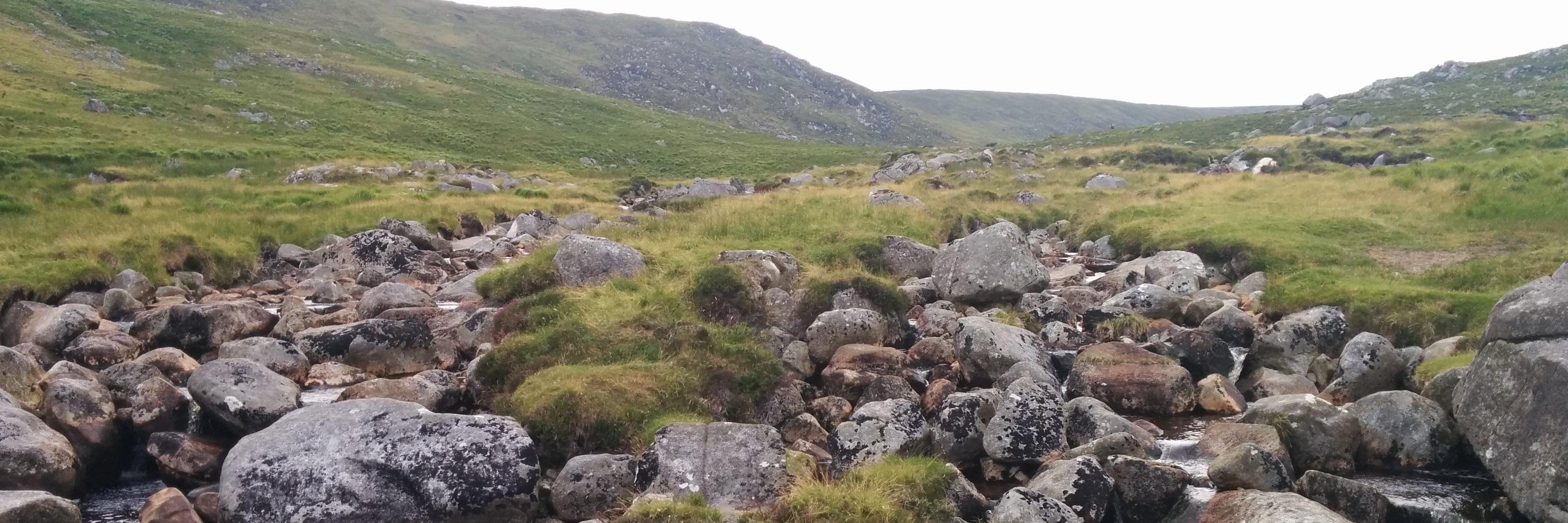 _hylandSL - not here banner