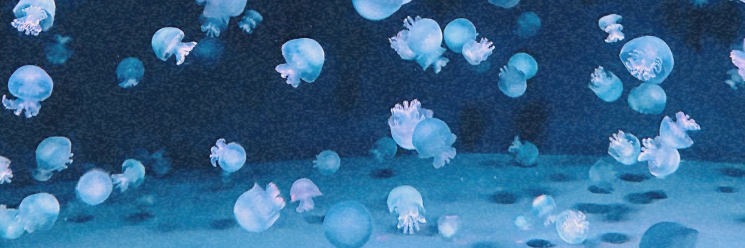 asymyc's profile banner image