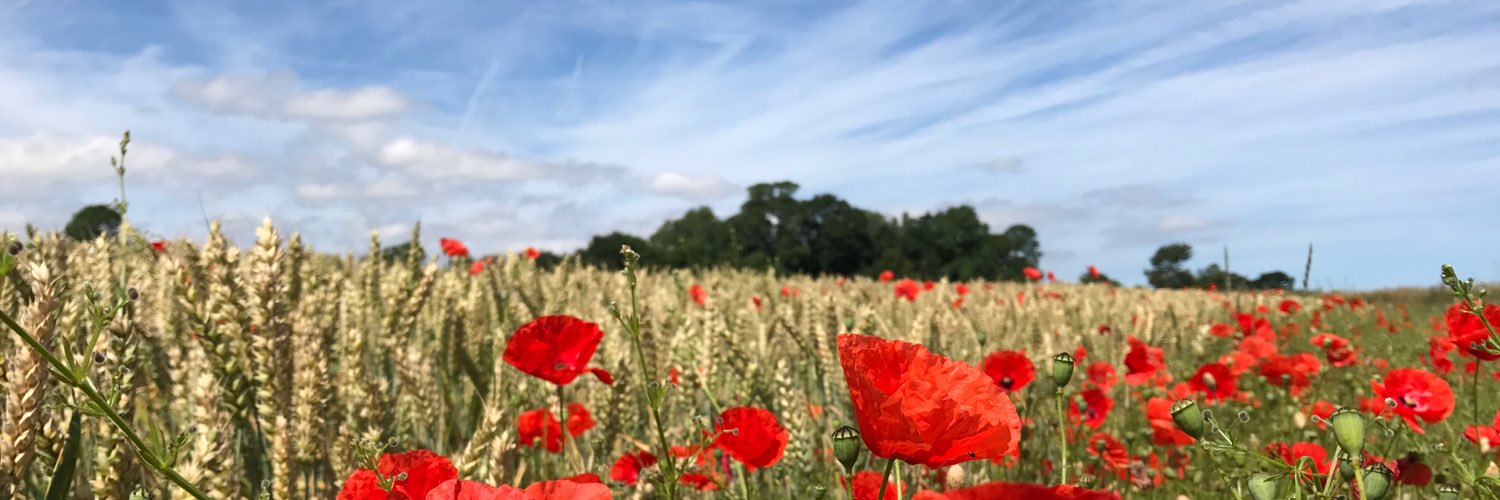 Huff and Puff Cycles banner