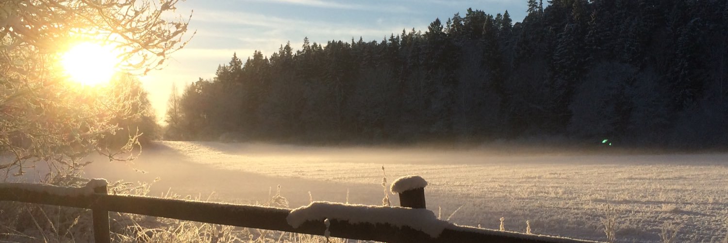 PVarverud's profile banner image
