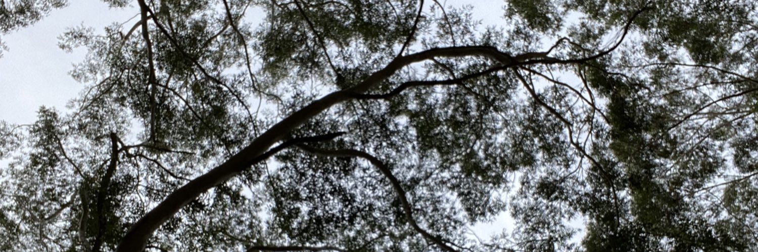Ceyrone_'s profile banner image