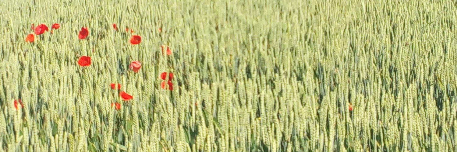 aceberfs's profile banner image