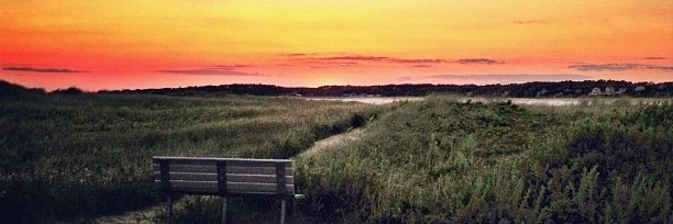 placidminds's profile banner image
