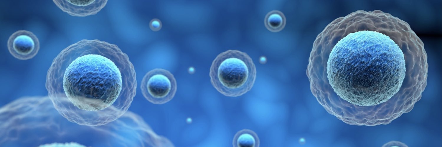 David_Peritt's profile banner image