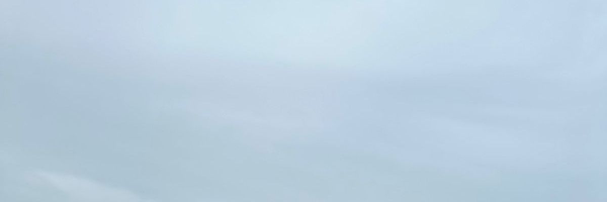 فيفى banner