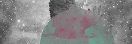 VulpeLina's profile banner image