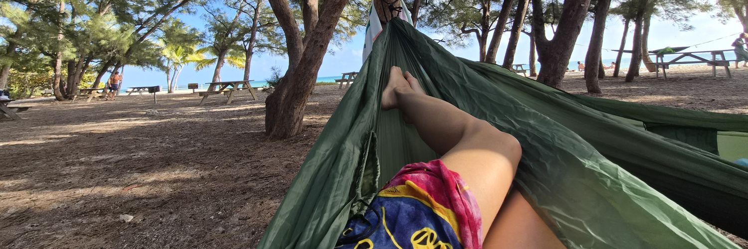 DeeeeSuee's profile banner image