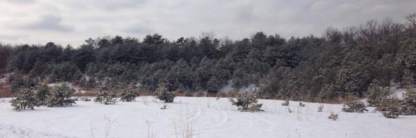 haepps Profile Banner