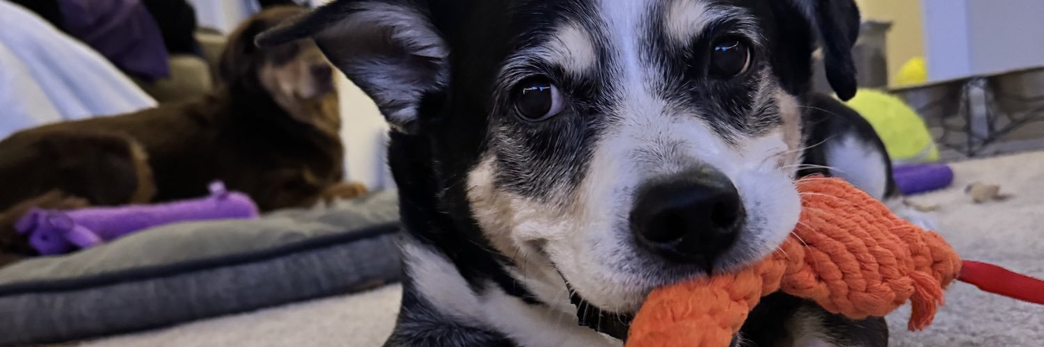 HighImJacob's profile banner image