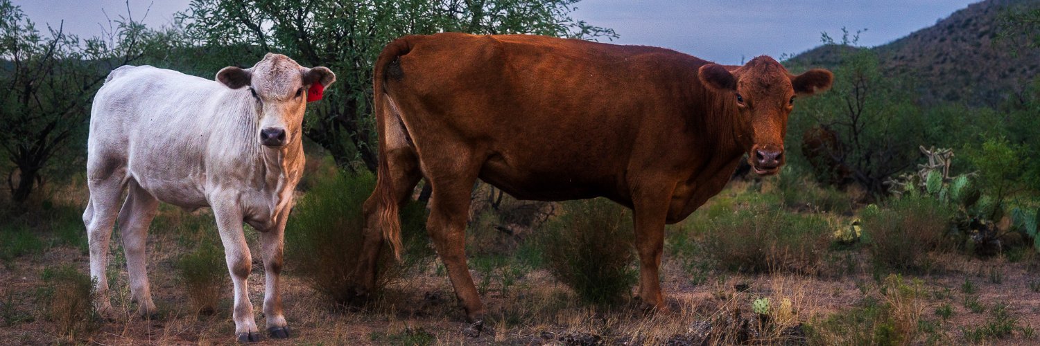 daviivers's profile banner image