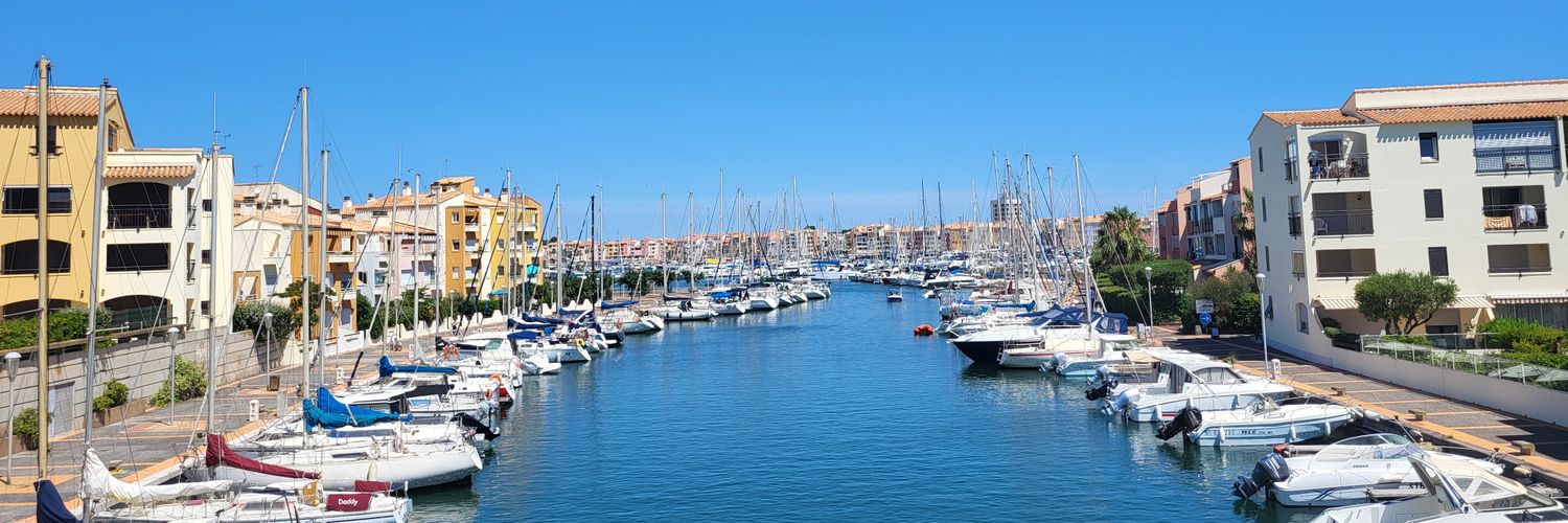 Ronald van der Velde banner