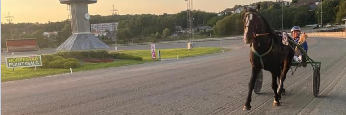 Line Bergersen banner