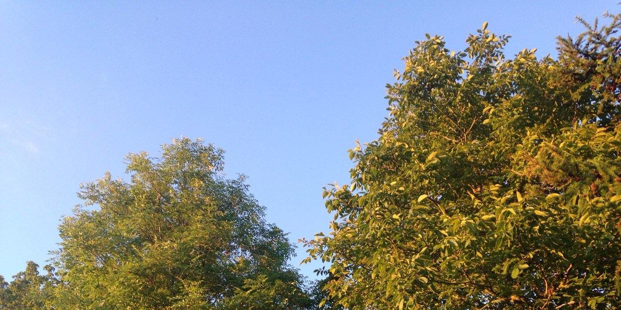 whywld's profile banner image