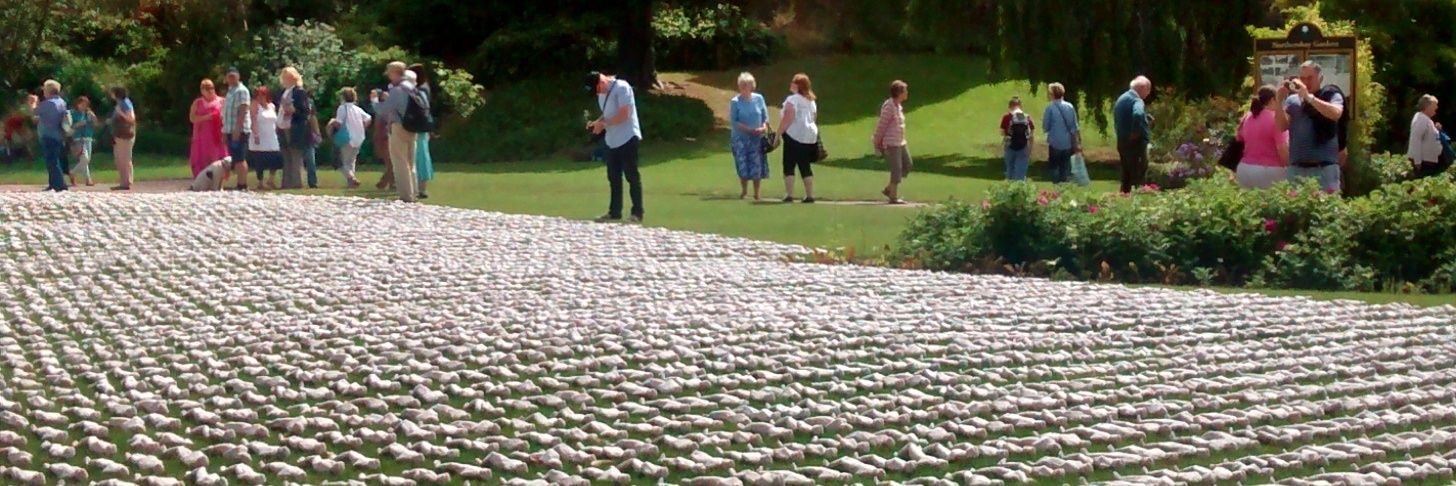 Claire Watson banner