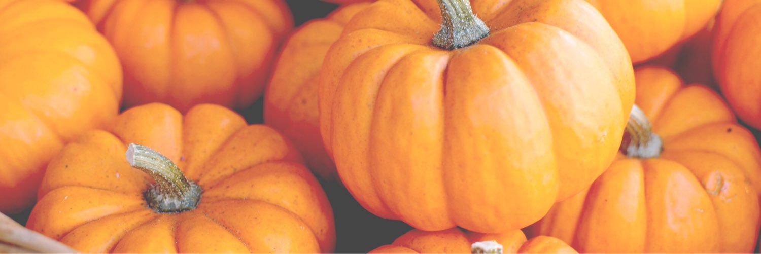 hauntinghowell's profile banner image
