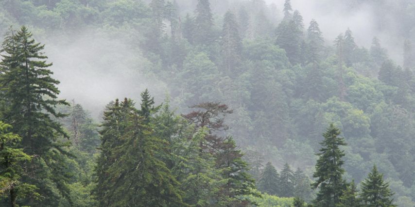lifesaverjames's profile banner image