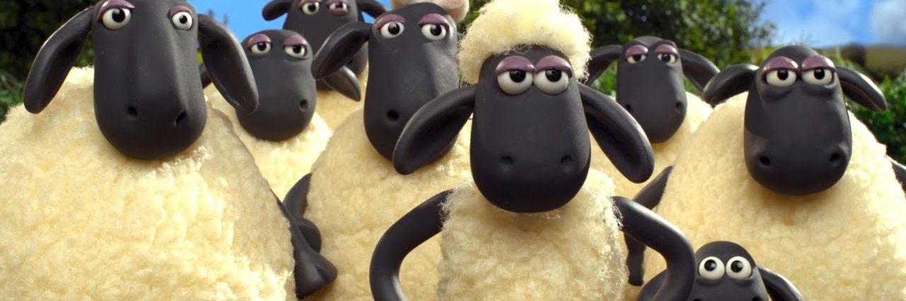 Shaun o Carneiro banner