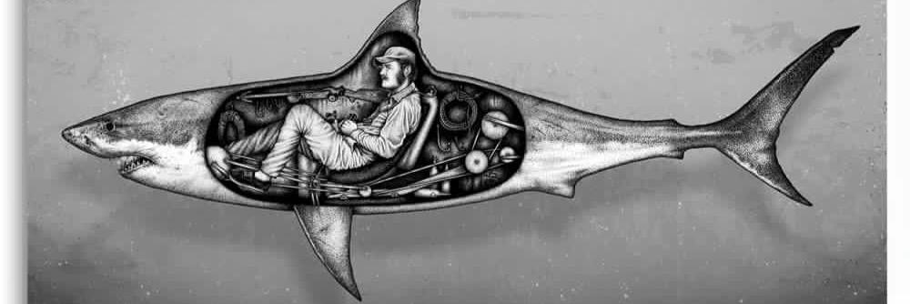 davissurfs's profile banner image