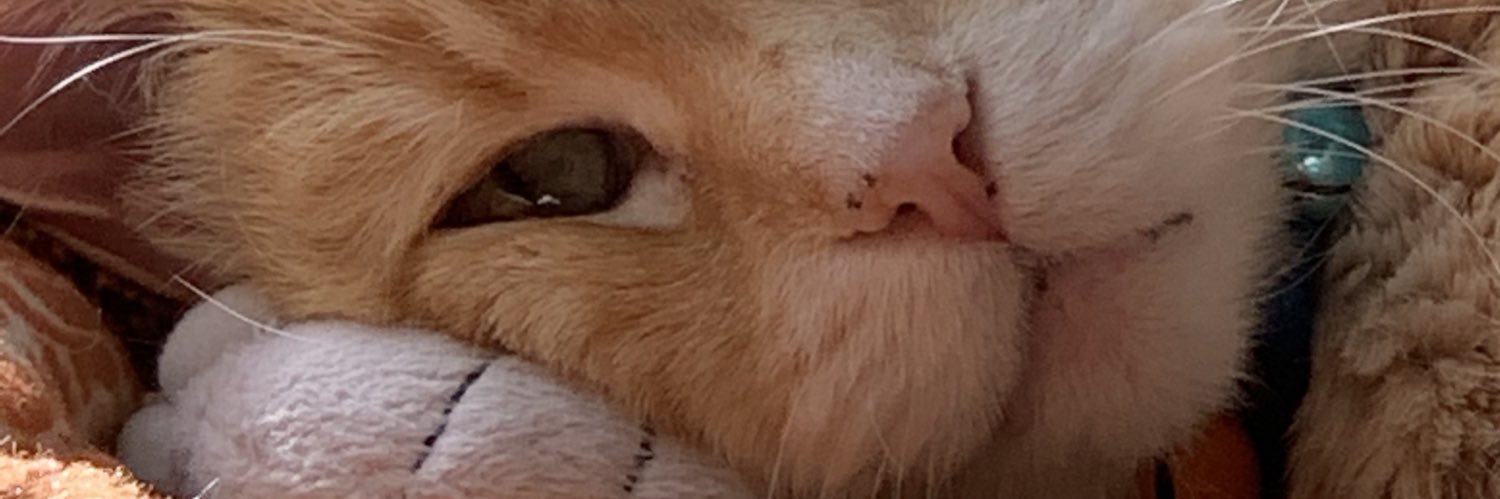 suznuz's profile banner image