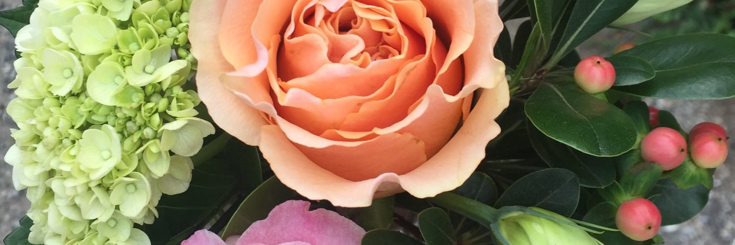 Southern_Grl15's profile banner image