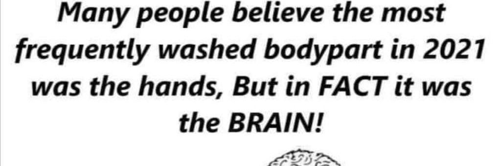 KajaNole●* 🦋🐊 banner