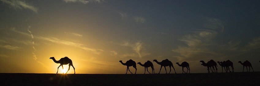 ABOABAT's profile banner image