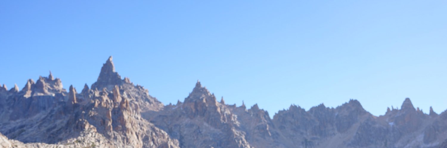 Dennis McWilliams banner