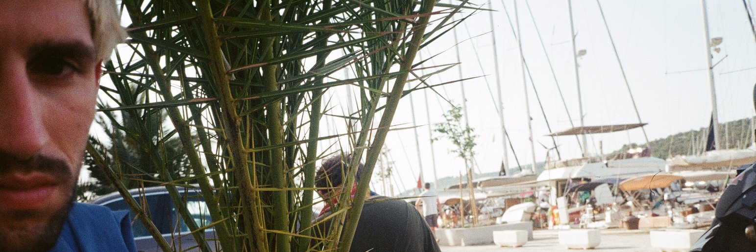 danibert66's profile banner image