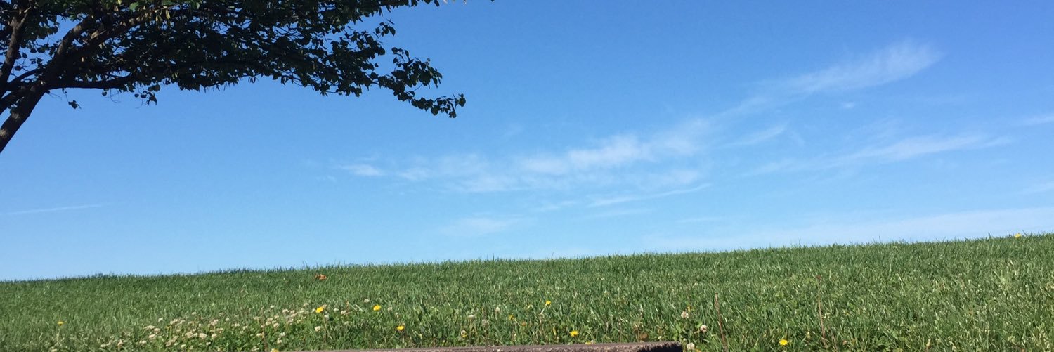 adelmore's profile banner image