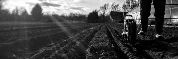 BillyWheeler Profile Banner