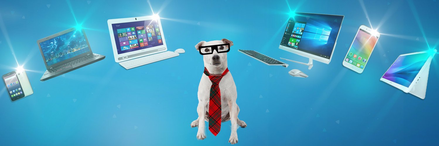 PerroWOW's profile banner image